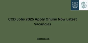 CCD Jobs 2025